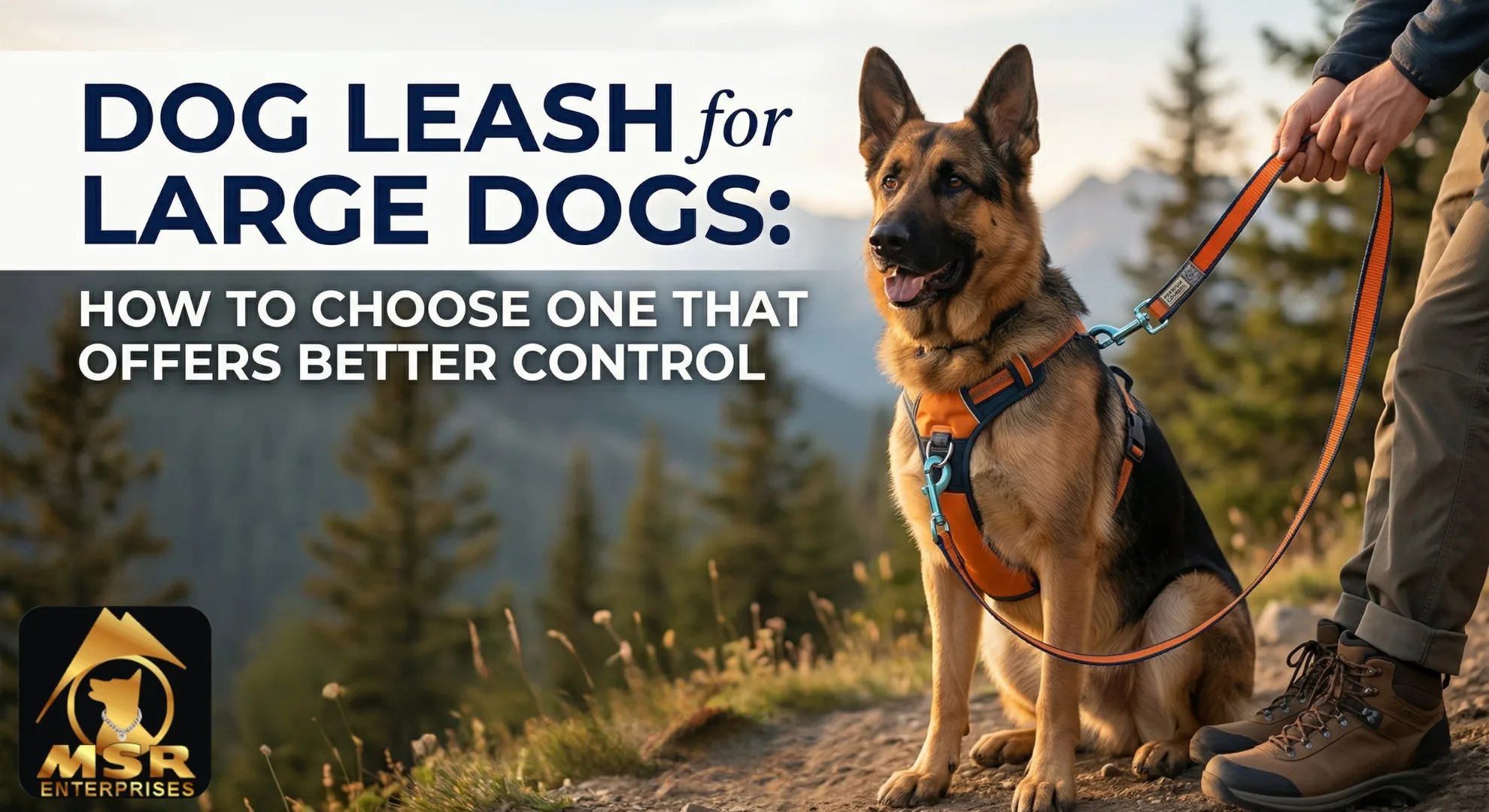 Dog Leash for Large Dogs: How to Choose One That Offers Better Control