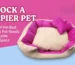 Benefits of Pet Bed: Why Every Pet Needs a Comfortable Sleeping Space