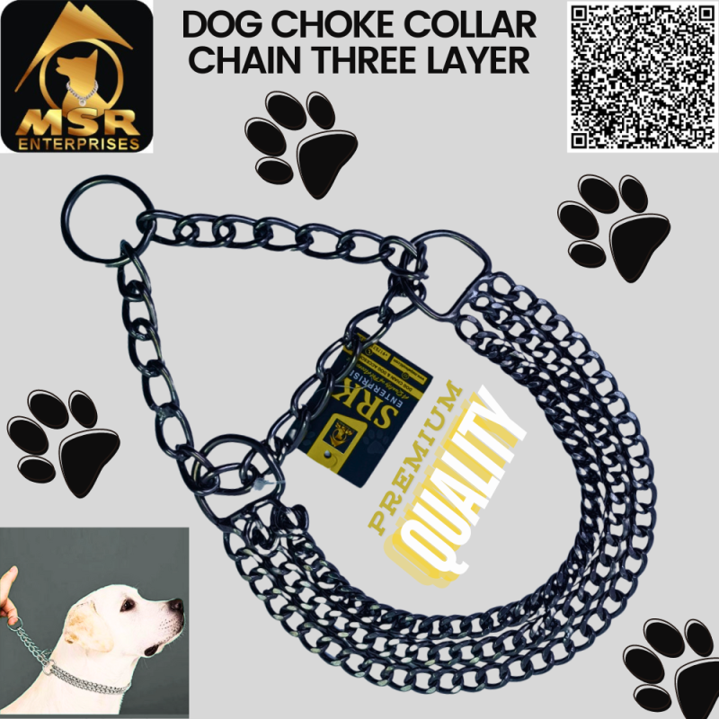 dog chain