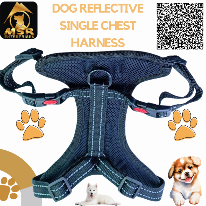 dog harness