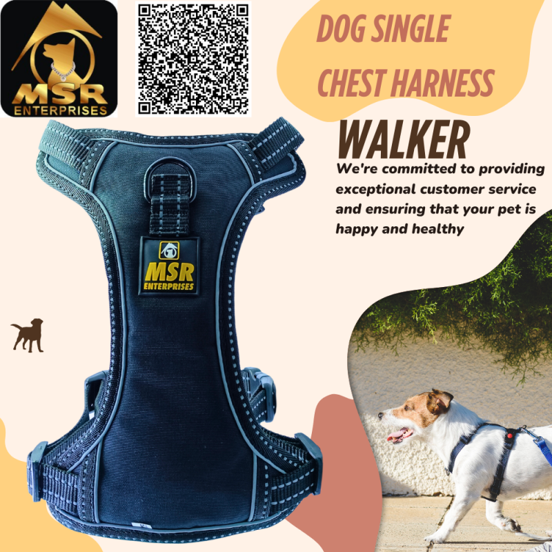dog harness