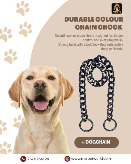 Colour Chain Dog Chock Chain ( 2 Feet )