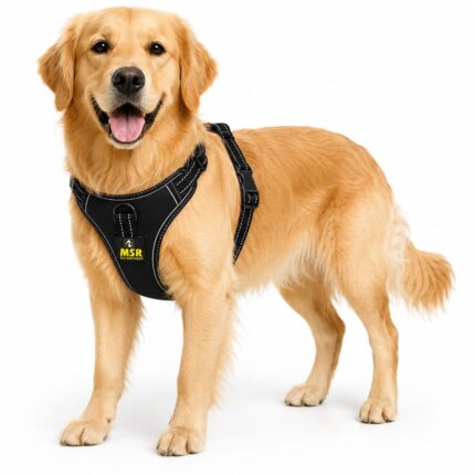 MSR Dog Chest Harness | Single Layer Harness for Dogs | Black