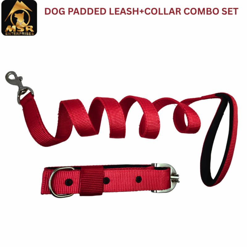 Dog leash and collar