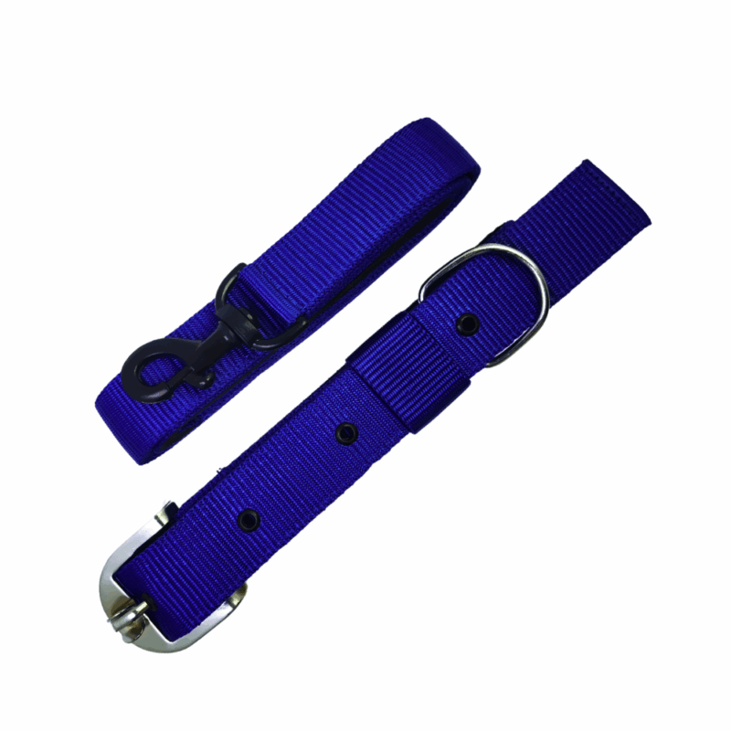 Dog leash and collar
