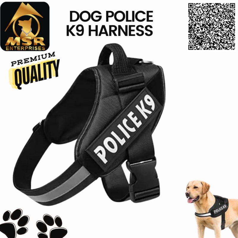 dog harness