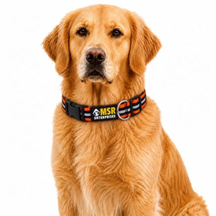 MSR Reflective Dog Collar | Adjustable Safety Walking Collar