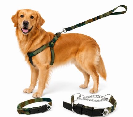 Dog Army Pattern Leash+Collar+Bodybelt Combo Set