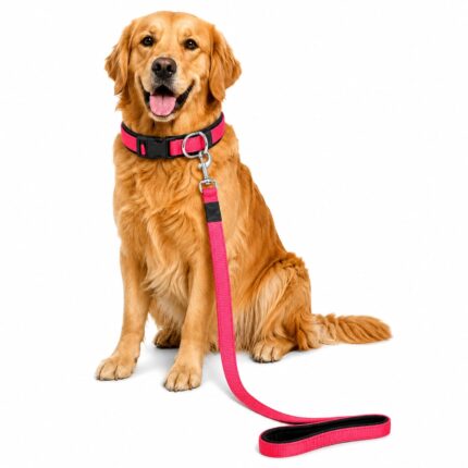 MSR Padded Nylon Dog Lead Double Layer 5 FT