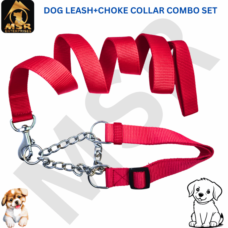 dog Collar and leash