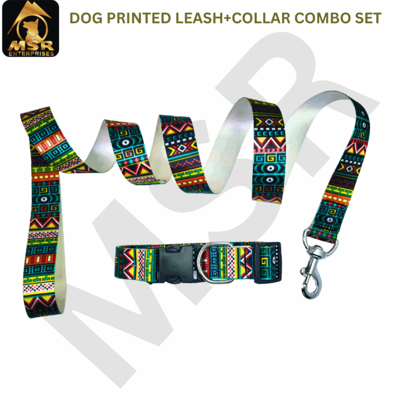 dog leash and collar