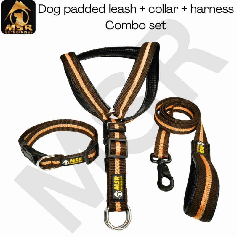 dog leash