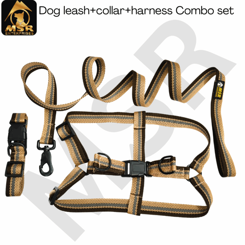 dog leash