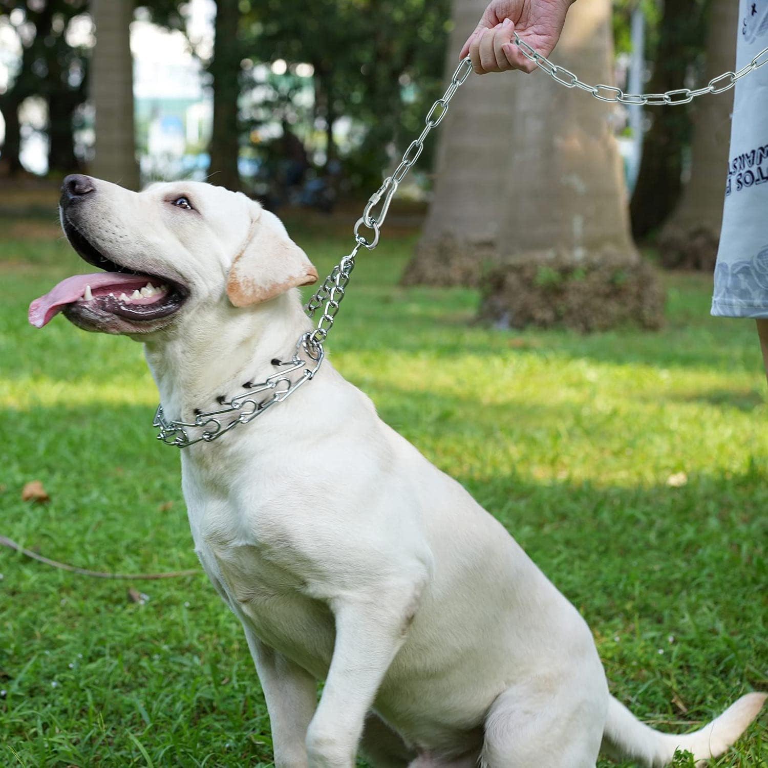 The Durability and Strength of Dog Chains: A Review