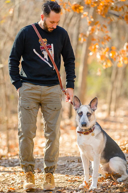 A Guide to Using Hands-Free Dog Leashes for Active Owners