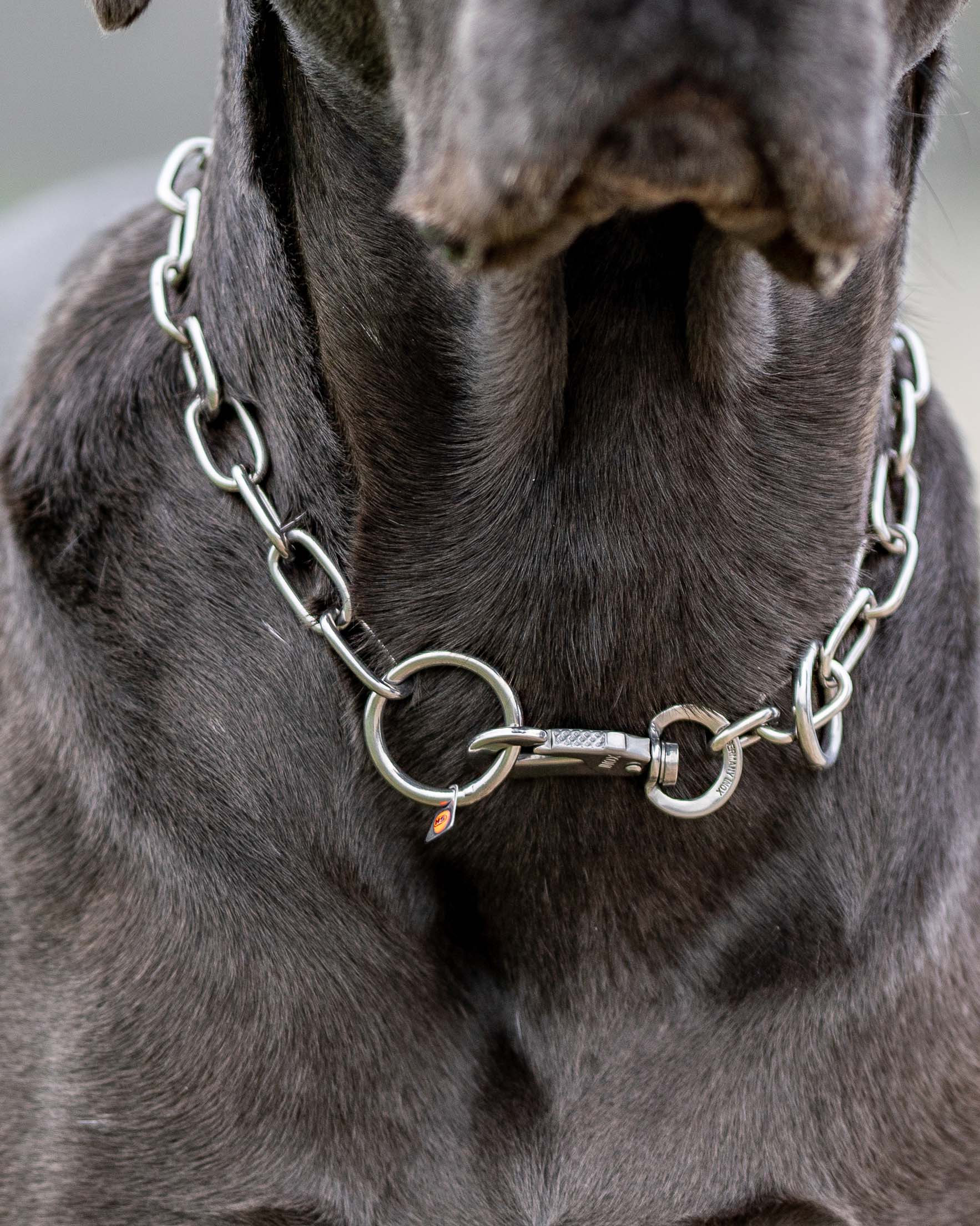 The Benefits of Using Nickel-Plated Dog Chains for Pets