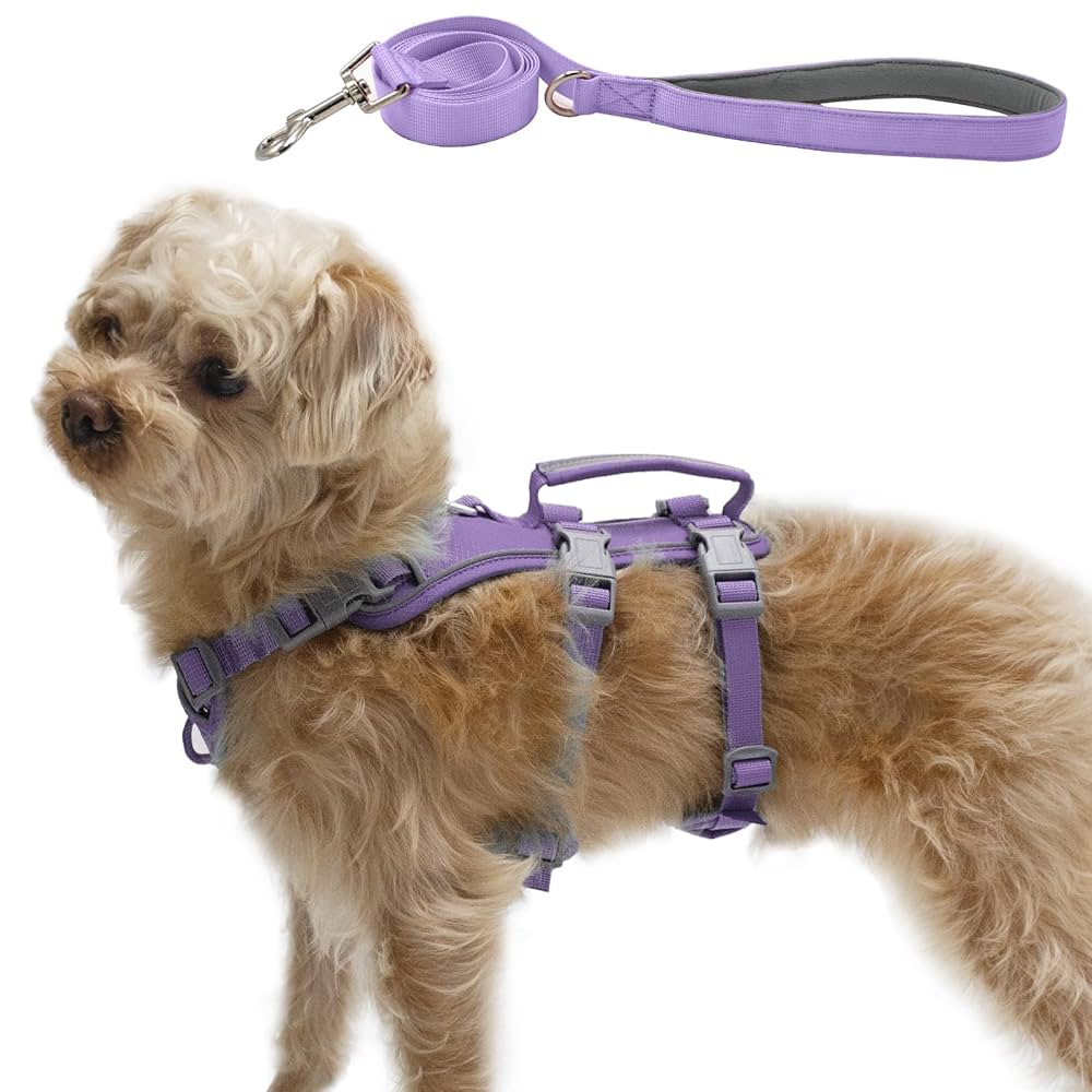 The Role of Dog Leashes in Preventing Pet Escapes