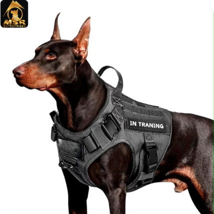 MSR Tactical Dog Harness with Side Lock Dog Buckle Harness (S,M,L,XL, Black)