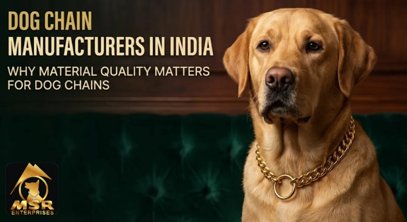 Dog Chain Manufacturers in India: Why Material Quality Matters for Dog Chains