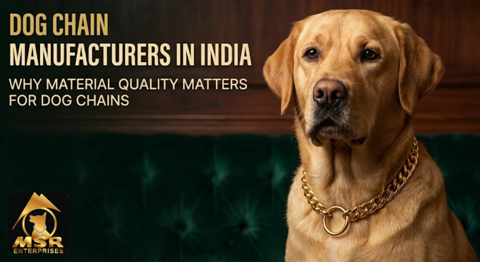 Dog Chain Manufacturers in India: Why Material Quality Matters for Dog Chains