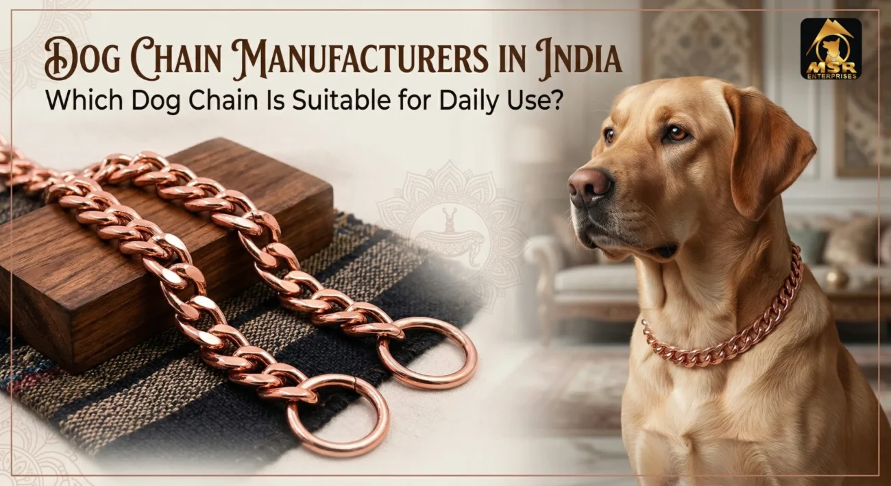 Dog Chain Manufacturers in India: Which Dog Chain Is Suitable for Daily Use