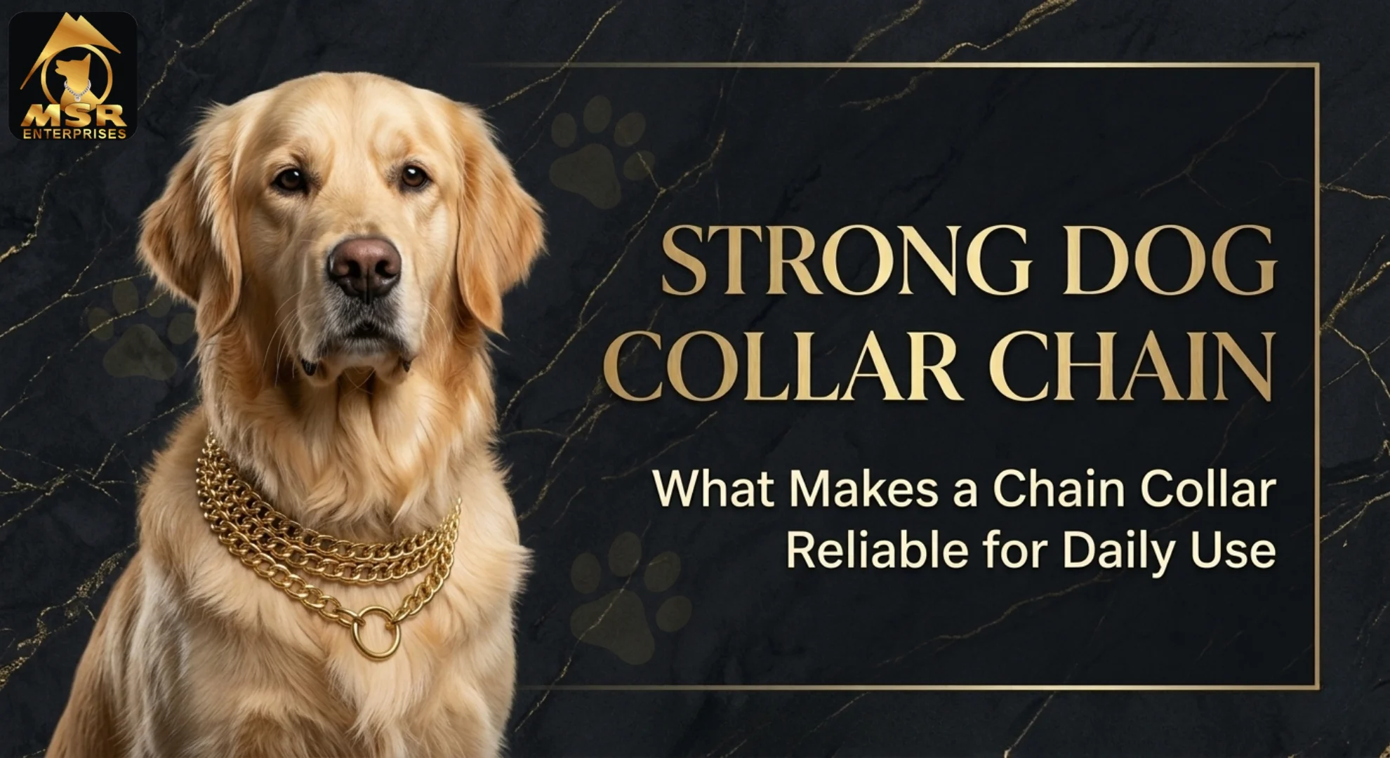 Strong Dog Collar Chain: What Makes a Chain Collar Reliable for Daily Use