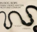 Cotton Dog Rope: Why Material Choice Matters for Strength and Comfort