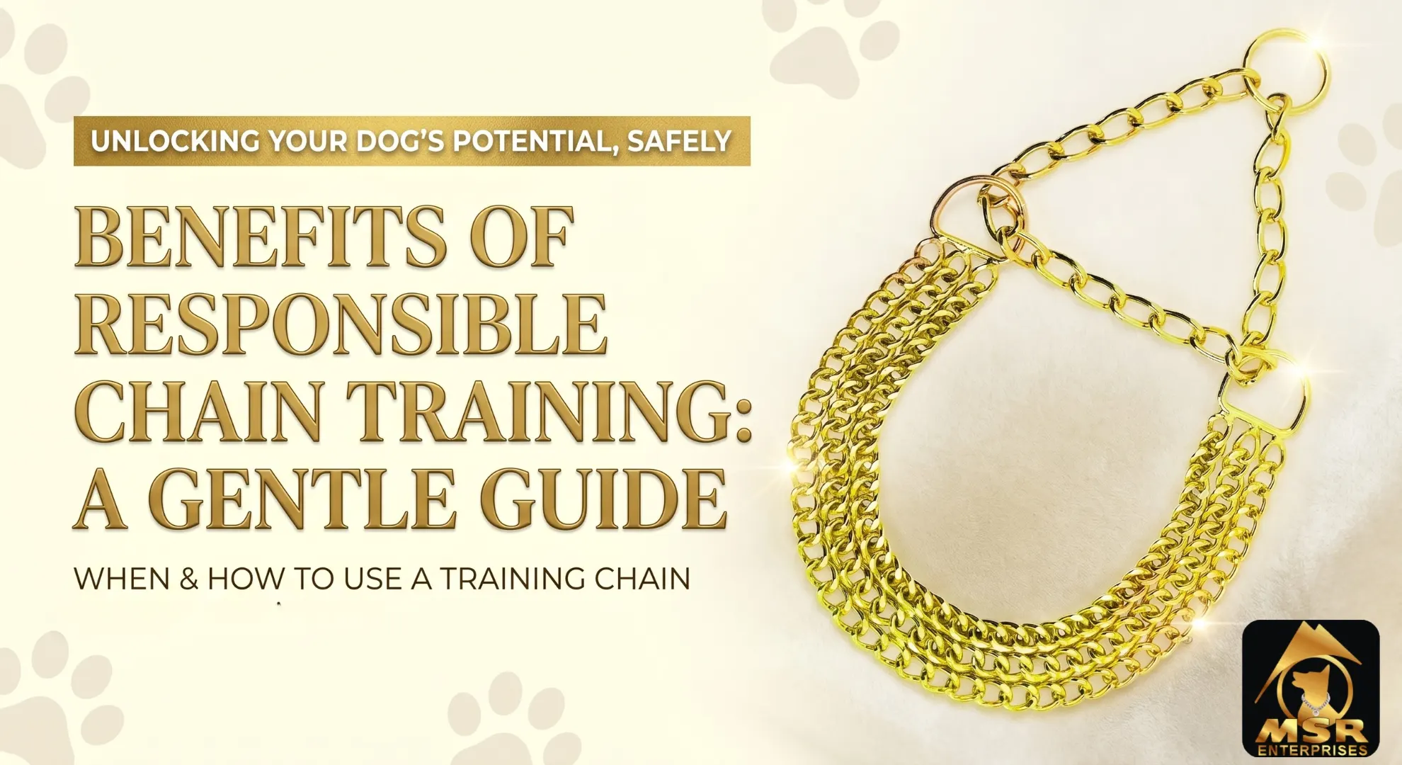 Benefits of Chaining a Dog: When and How It Can Be Used Responsibly
