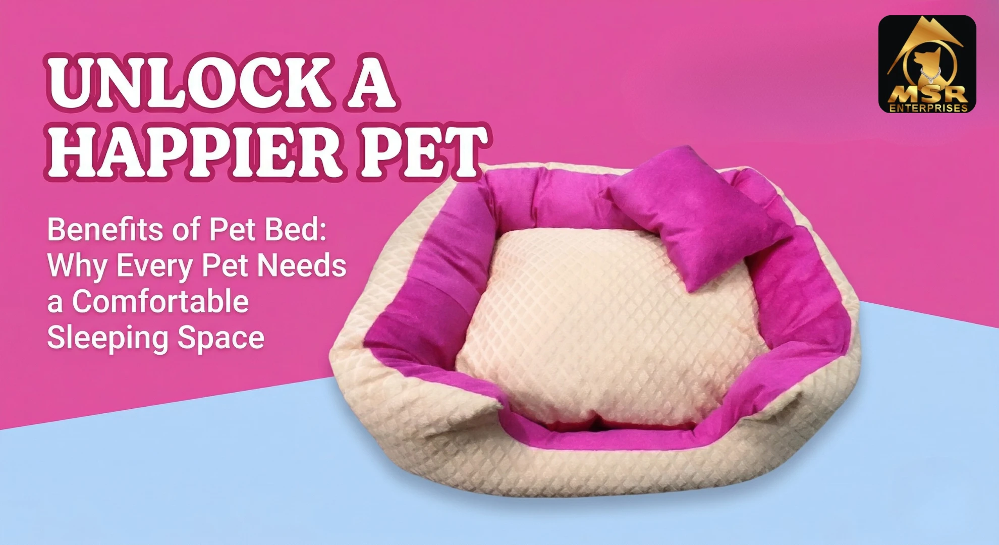 Benefits of Pet Bed: Why Every Pet Needs a Comfortable Sleeping Space
