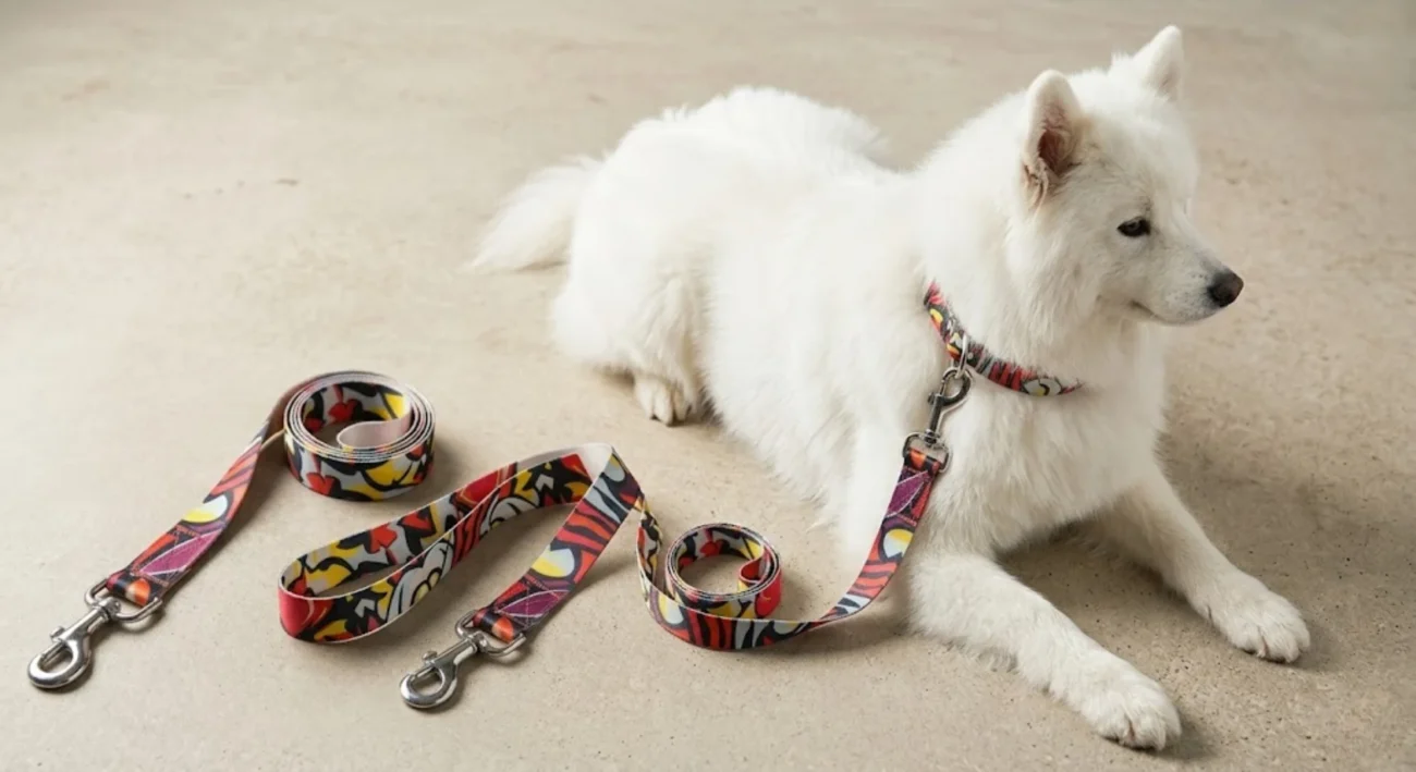 How to Choose the Right Designer Dog Leash for Your Dog