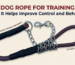 “Dog Rope for Training: How It Helps Improve Control and Behavior”
