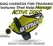 Dog Harness for Training: Features That Help Manage Active Dogs