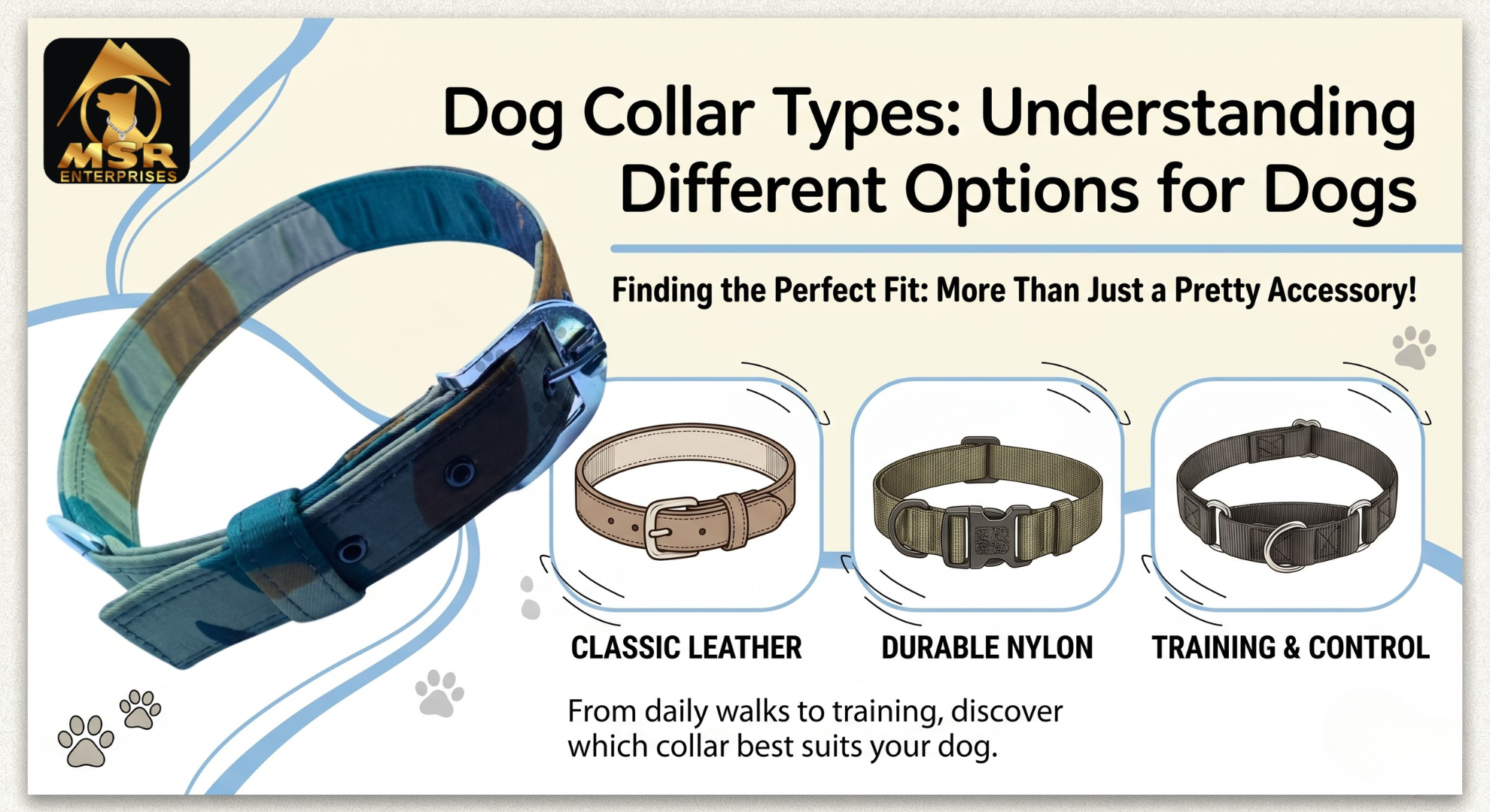 Dog Collar Types: Understanding Different Options for Dogs