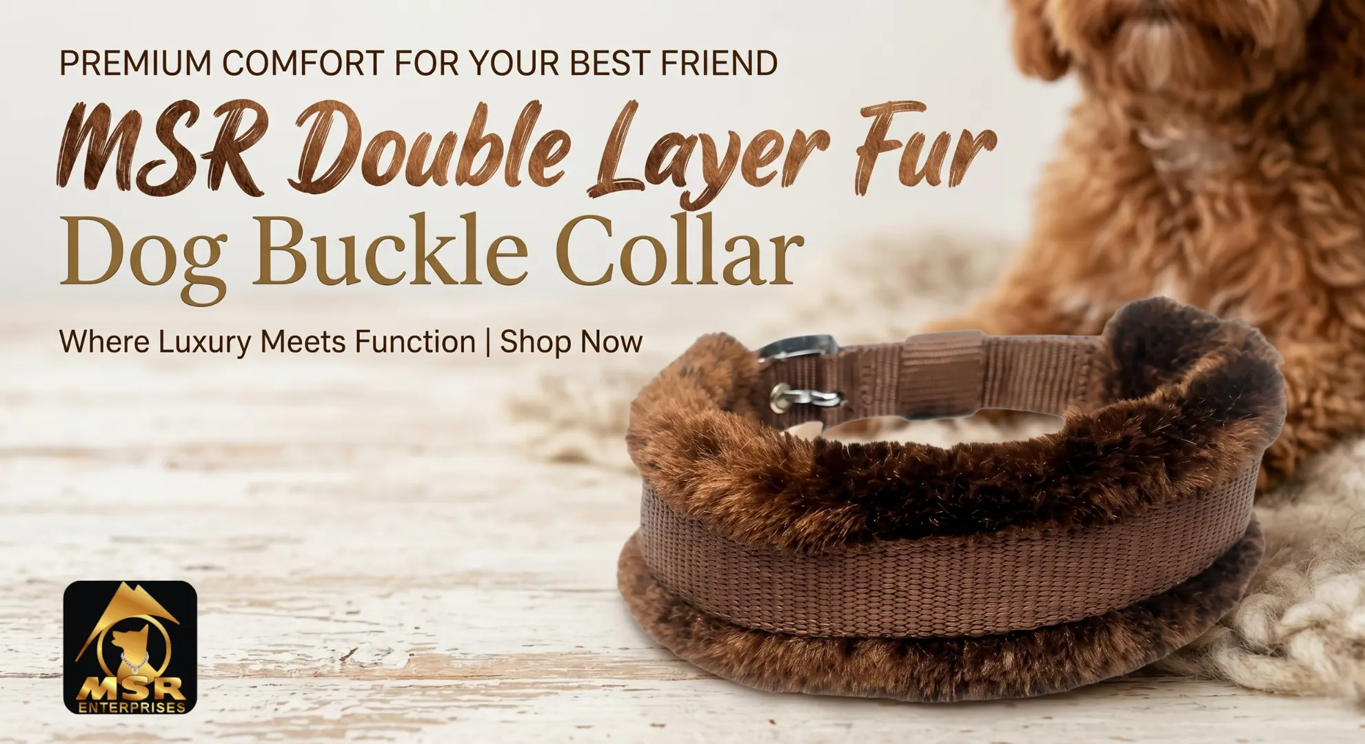 Everyday Dog Collar: Features That Make It Suitable for Regular Use