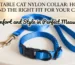 Adjustable Cat Nylon Collar: How to Find the Right Fit for Your Cat
