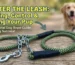 Dog Rope Uses: Training, Walking, and Control Guide for Pet Owners