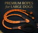 Dog Rope for Large Dogs: Important Factors to Consider Before Buying