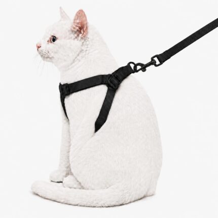 MSR Cat Harness Set | Cat Leash Body Belt Combo