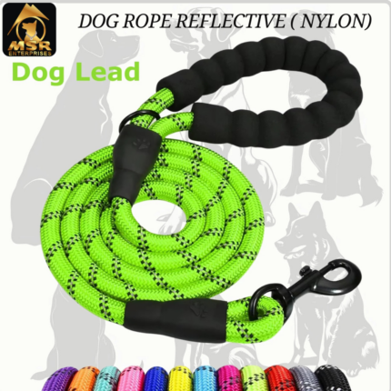 MSR Without Reflective Rope Leash | Green