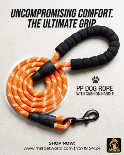MSR Without Reflective Rope Leash | Orange