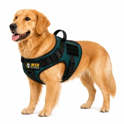 MSR Viridian Green Military Dog Harness with Front Metal Buckle
