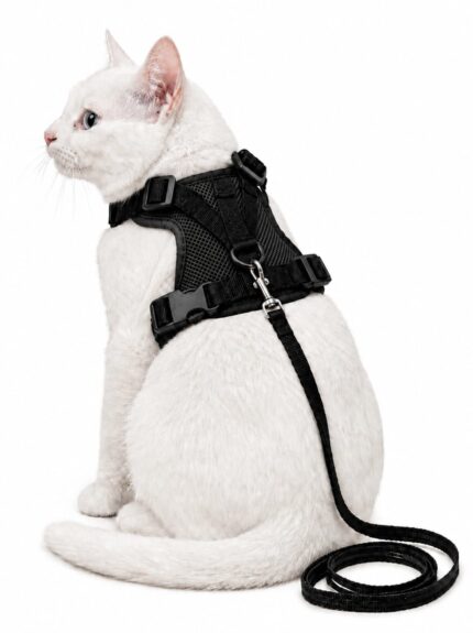 MSR Breathable Cat Harness | Soft Harness with Leash | Black