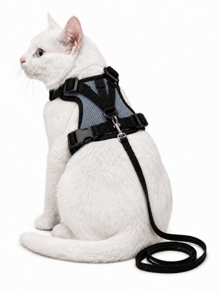 MSR Breathable Cat Harness | Soft Harness with Leash | Grey