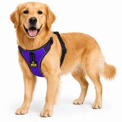 MSR Dog Chest Harness | Single Layer Harness for Dogs | Purple
