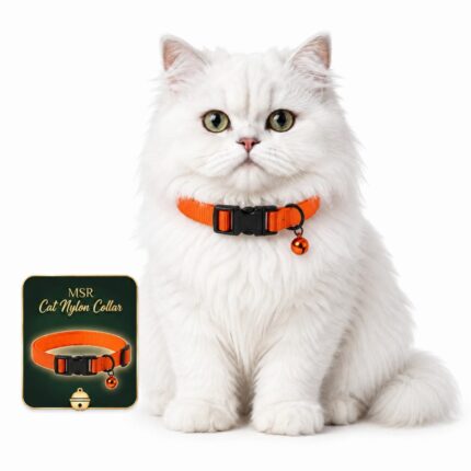 MSR Cat Nylon Collar with Bell Ring | Adjustable Cat Collar Orange